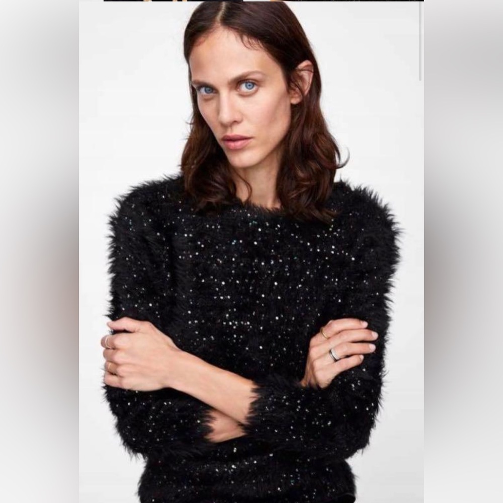 Zara Knit Sweater with Sequin